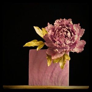 Meet your Posher, Lucy